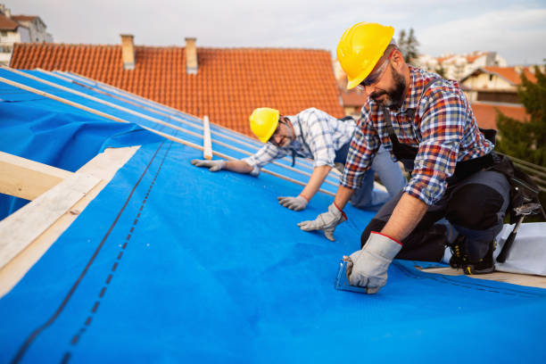 Best Roof Maintenance Services  in Graham, WA